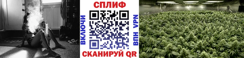 Экстази Карачаевск