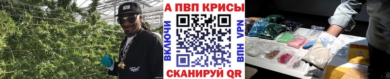 где найти   блэк спрут сайт  Alpha-PVP СК  Карачаевск 