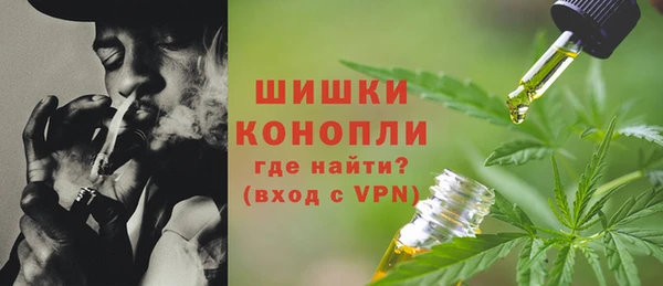 ГАЛЛЮЦИНОГЕННЫЕ ГРИБЫ Алексин