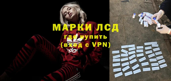 ГАЛЛЮЦИНОГЕННЫЕ ГРИБЫ Алексин