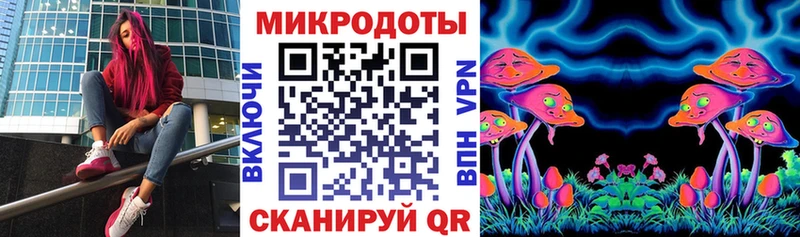 Псилоцибиновые грибы прущие грибы  Карачаевск 