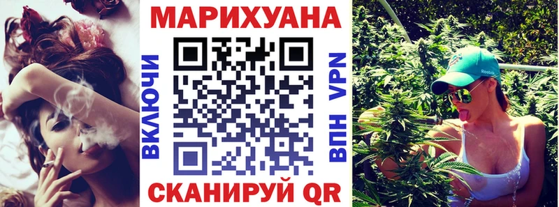 Марихуана план  Карачаевск 